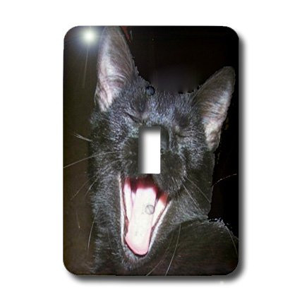 3dRose lsp_6026_1 Black Cat Yawning Single Toggle Switch Multicolor