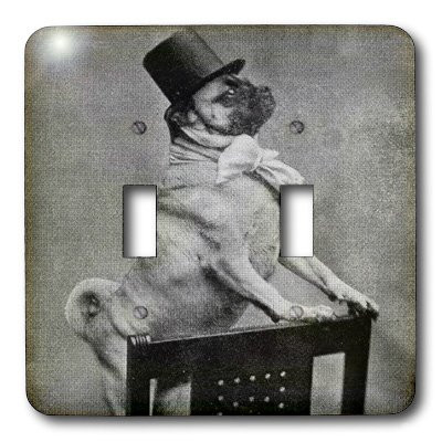 3dRose lsp_6775_2"Pug In Top Hat Black And White" Double Toggle Switch Multicolor
