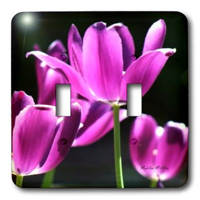 3dRose LLC lsp_7167_2 Sun Kissed Purple Double Toggle Switch