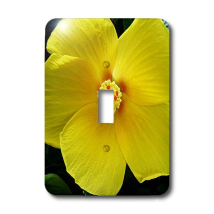 3dRose Lsp_20039_1 Sunny Hibiscus Yellow Single Toggle Switch