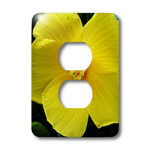 3dRose lsp_20039_6 Sunny Hibiscus Yellow 2 Plug Outlet Cover