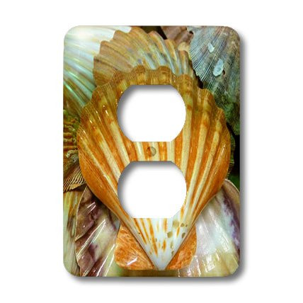 3dRose lsp_24001_6 Sea Shells Up Close 2-Plug Outlet Cover