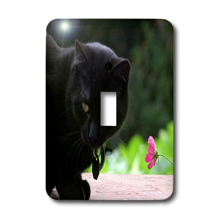 3dRose lsp_27309_1 Black Cat with Flower Toggle Switch Multi-Color