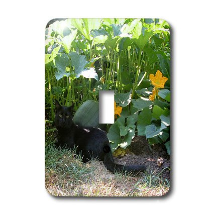 3dRose lsp_29595_1 Black Cat in the Pumpkim Patch Toggle Switch Multi-Color