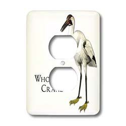 3dRose LSP_51601_6 Whooping Crane Shorebird Outlet Cover