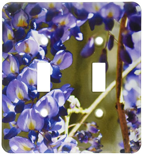 3dRose lsp_51773_2 Purple wisteria close up Toggle switch