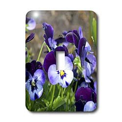 3dRose lsp_51789_1"A Batch Of Purple Pansies" Toggle Switch