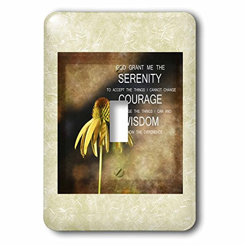 3dRose lsp_59024_1 Inspired Beautiful Serenity Prayer with Yellow Echinacea Flower Single Toggle Switch