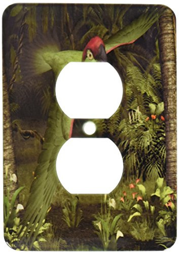 3dRose LLC lsp_60748_6 Thickbilled Parrot 2 Plug Outlet Cover