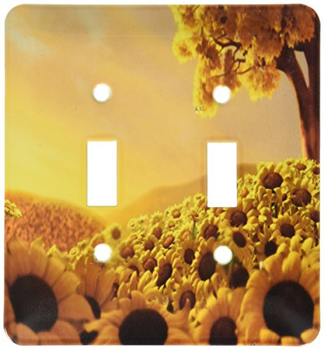 3dRose lsp_66302_2 Sunflower Sunset, Yellow, Brown Double Toggle Switch