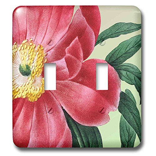 3dRose lsp_79190_2 Vintage Peony Floral Double Toggle Switch Red