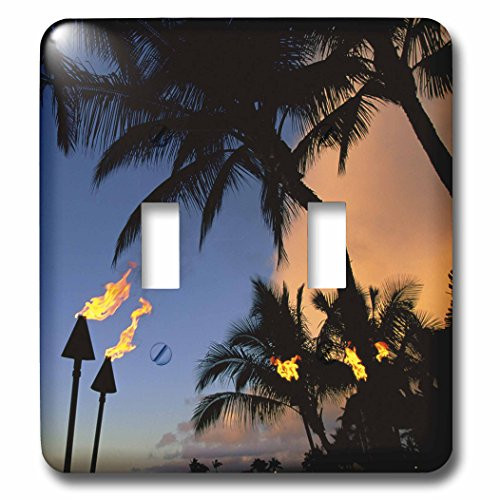 3dRose LLC lsp_89716_2 Tiki Torches Hawaii Us12 Dpb1421 Douglas Peebles Double Toggle Switch