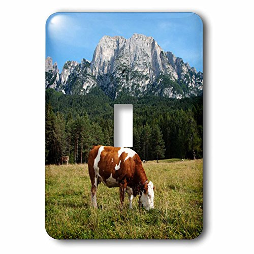 3dRose lsp_165722_1  Simmental Cow Grazing Single Toggle Switch