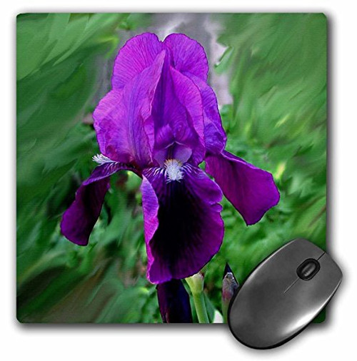 3dRose LLC 8 x 8 x 0.25 Inches Mouse Pad, Purple Iris (mp_1235_1)
