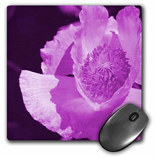 3dRose LLC 8 x 8 x 0.25 Inches Purple Poppy by Angle and Spot Mouse Pad (mp_10932_1)