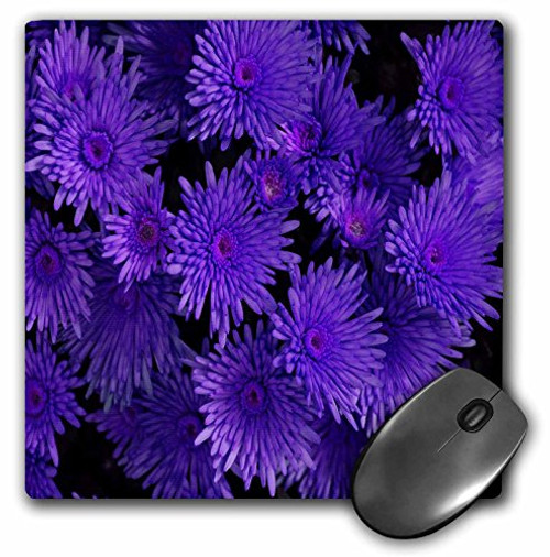 3dRose LLC 8 x 8 x 0.25 Inches Mouse Pad, Pretty Purple Floral Bouquet (mp_20608_1) 3dRose LLC 8 x 8 x 0.25 Inches Mouse Pad, Pretty Purple Floral Bouquet (mp_20608_1)