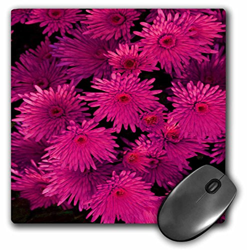 3dRose LLC 8 x 8 x 0.25 Inches Pretty Pink Floral Bouquet Mouse Pad (mp_20609_1)