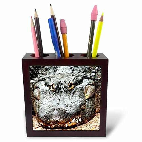3dRose LLC Crocodile 5-Inch Tile Pen Holder