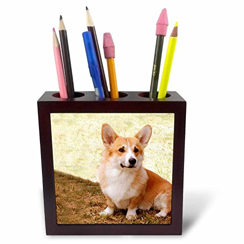 3dRose LLC Pembroke Welsh Corgi 5-Inch Tile Pen Holder