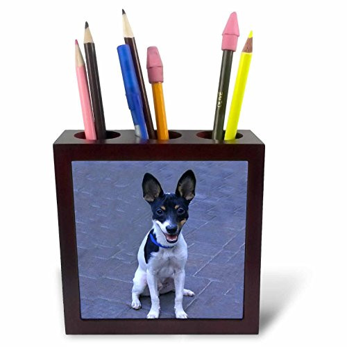 3dRose ph_3120_1 Toy Fox Terrier 2 Tile Pen Holder, 5-Inch