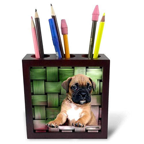 3dRose ph_4142_1 Brindle Boxer Puppy Tile Pen Holder, 5-Inch