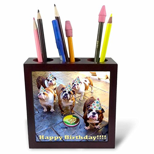 3dRose ph_39567_1 English Bulldog Birthday Tile Pen Holder, 5-Inch