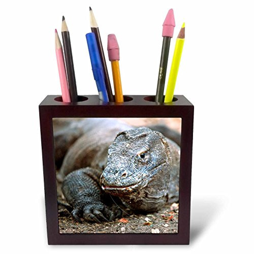 3dRose ph_73174_1 Indonesia, Sunda Archipelago, Komodo Dragon Lizard-AS11 JST0015-Jay Sturdevant-Tile Pen Holder, 5-Inch
