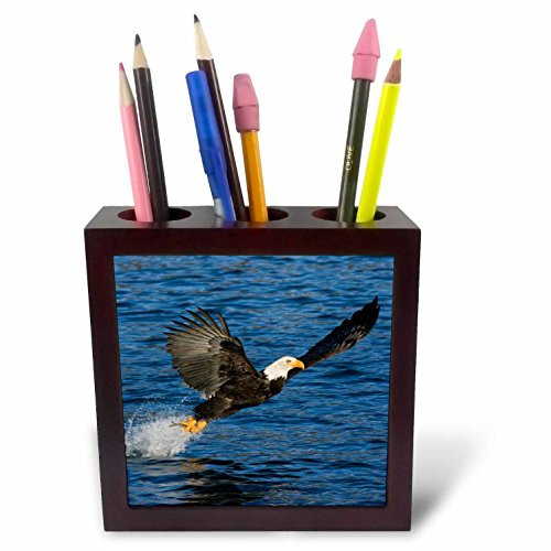 3dRose ph_87400_1 Alaska, Kachemak Bay State Park, Bald Eagle - US02 BJA0277 - Jaynes Gallery - Tile Pen Holder, 5-Inch