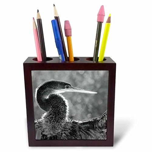 3dRose ph_89101_1 Florida, Merritt Island, Sunning Anhinga Bird - US10 DSN0011 - Deborah Sandidge - Tile Pen Holder, 5-Inch 3dRose ph_89101_1 Florida, Merritt Island, Sunning Anhinga Bird - US10 DSN0011 - Deborah Sandidge - Tile Pen Holder, 5-Inch