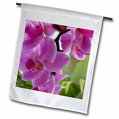 3dRose fl_22672_1 Pink Orchids Garden Flag, 12 by 18-Inch 3dRose fl_22672_1 Pink Orchids Garden Flag, 12 by 18-Inch