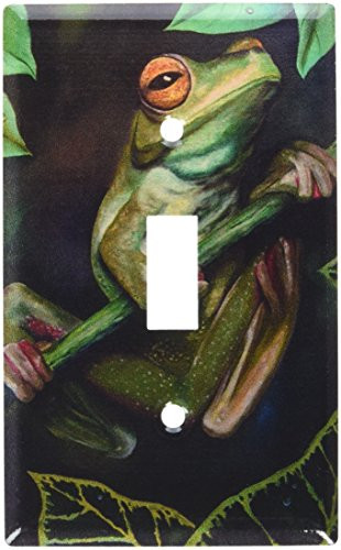Art Plates - Yellow Eyed Tree Frog Switch Plate - Single Toggle