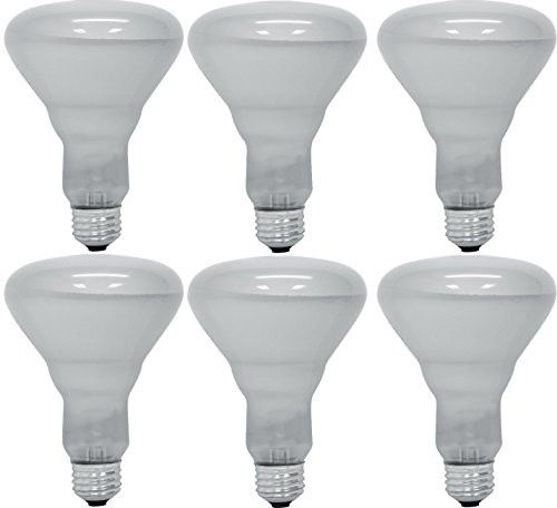 Pack Of 6 65BR30/FL 65 Watt BR30 Reflector Incandescent E26 Medium Base 120 Volt Indoor Flood Light Bulb