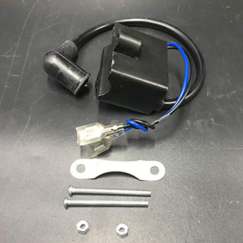 dolphin1986 CDI/Ignition - 2 Stroke Gas Motor kit 66cc/80cc/48cc