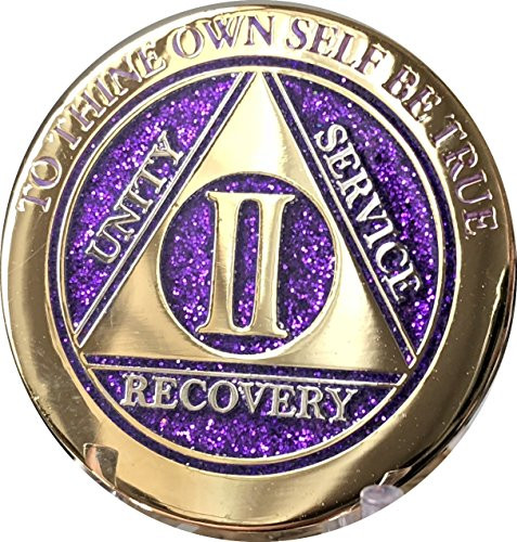 2 Year Elegant Glitter Purple Gold Silver Bi-Plated AA Medallion Chip II