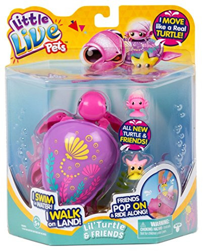 Little Live Pets S6 Turtle Single Pack-Sandy The Tropical Children's Toy