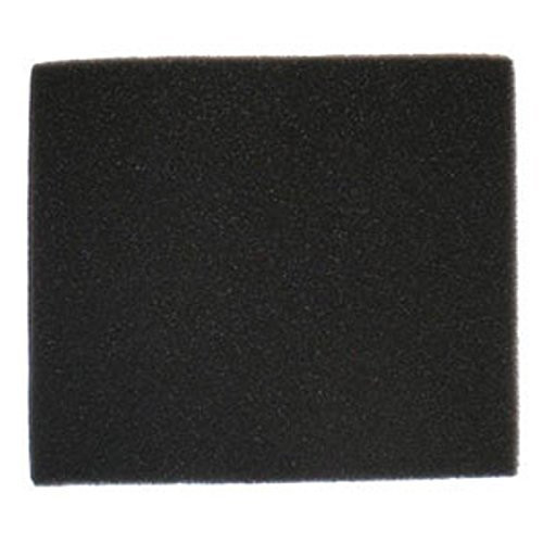 Bissell Bagless Canister Vacuum Cleaner Model 66T6 Foam Filter Part # 2037258