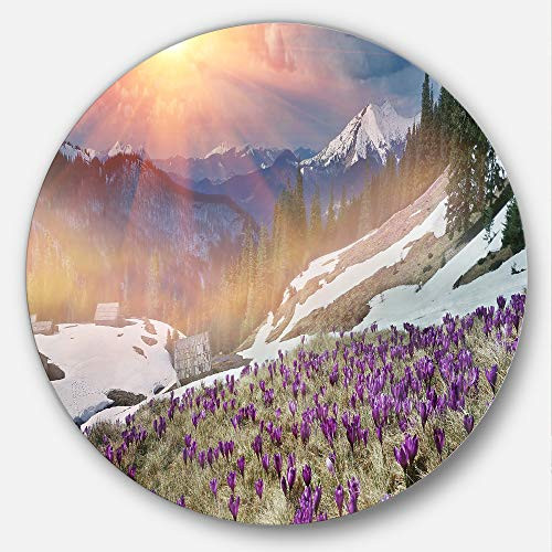 Designart Crocus Flowers in Carpathians Landscape Photo Metal Artwork - Disc of 23 inch 23'' H x 23'' W x 1'' D 1P Blue Designart Crocus Flowers in Carpathians Landscape Photo Metal Artwork - Disc of 23 inch 23'' H x 23'' W x 1'' D 1P Blue