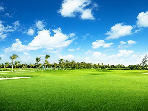 DZJYQ 6.5x5ft(2x1.5m) Blue Sky White Cloud Green Grass Tree Forest Golf Course Play Relax Holiday Backdrop Photography Background 229