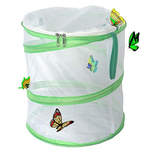Trasfit Pop-up Insect and Butterfly Habitat Cage Terrarium  12 x 14 Inches Tall