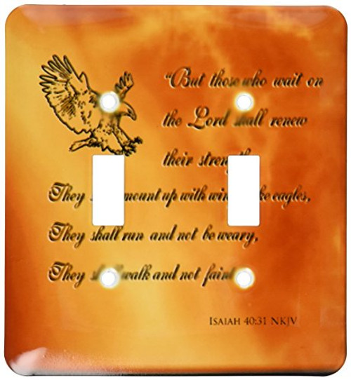 3dRose lsp_30756_2 Isaiah 40 31 Bible Verse with Eagle Engraved Into A Copper Background Double Toggle Switch 3dRose lsp_30756_2 Isaiah 40 31 Bible Verse with Eagle Engraved Into A Copper Background Double Toggle Switch