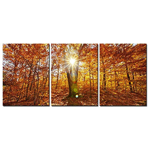 Biuteawal - Autumn Forest Canvas Wall Art Prints Tree Forest Painting Print Nature Sunrise Landscape Picture Artwork Framed and Stretched for Home Living Room Bed Room Decor
