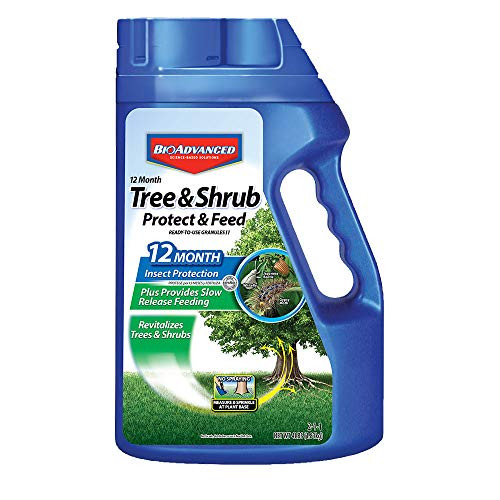Bayer Advanced 701700 12 Month Tree and Shrub Protect and Feed Granules, 4-Pound Bayer Advanced 701700 12 Month Tree and Shrub Protect and Feed Granules, 4-Pound