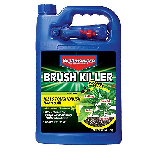 BioAdvanced 704655A Brush Killer Plus, Kills Poison Ivy, Blackberry, Kudzu, 1-Gallon, Ready-To-Use