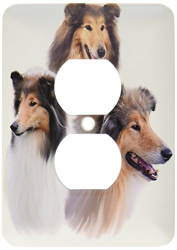 3dRose lsp_4543_6 Rough Collie 2 Plug Outlet Cover