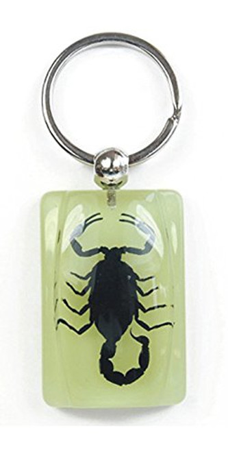 Glow In The Dark Lucite Keychain w/ Genuine Black Scorpion Glow In The Dark Lucite Keychain w/ Genuine Black Scorpion