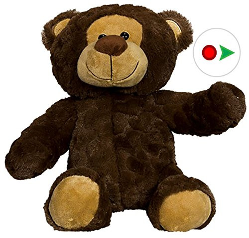 Recordable 8" Plush "Romeo" the Bear w/20 Second Digital Recorder for Special Messages, Rymes or Songs