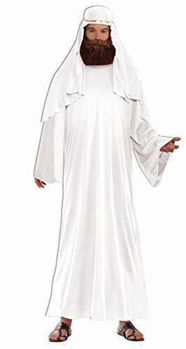 Forum Novelties Men's Forum Value Biblical Robe, White, Standard