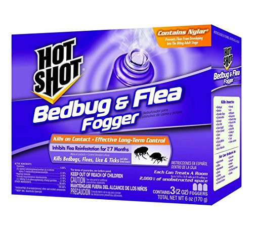 Insect Killer, 2 oz, Aerosol, PK3