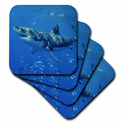 3dRose cst_10583_2 Great White Shark-Soft Coasters, Set of 8