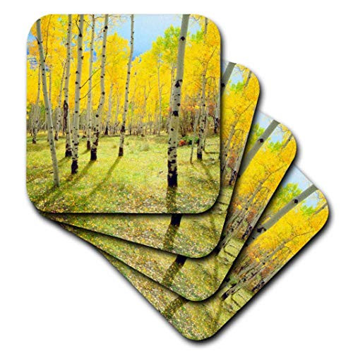 3dRose CST_209856_2 USA, Colorado, Rocky Mountains Fall Colors of Aspen Trees Soft Coasters (Set of 8)